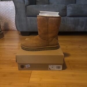 Uggs Chestnut